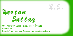 marton sallay business card
