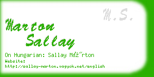 marton sallay business card